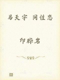 马天宇 同性恋